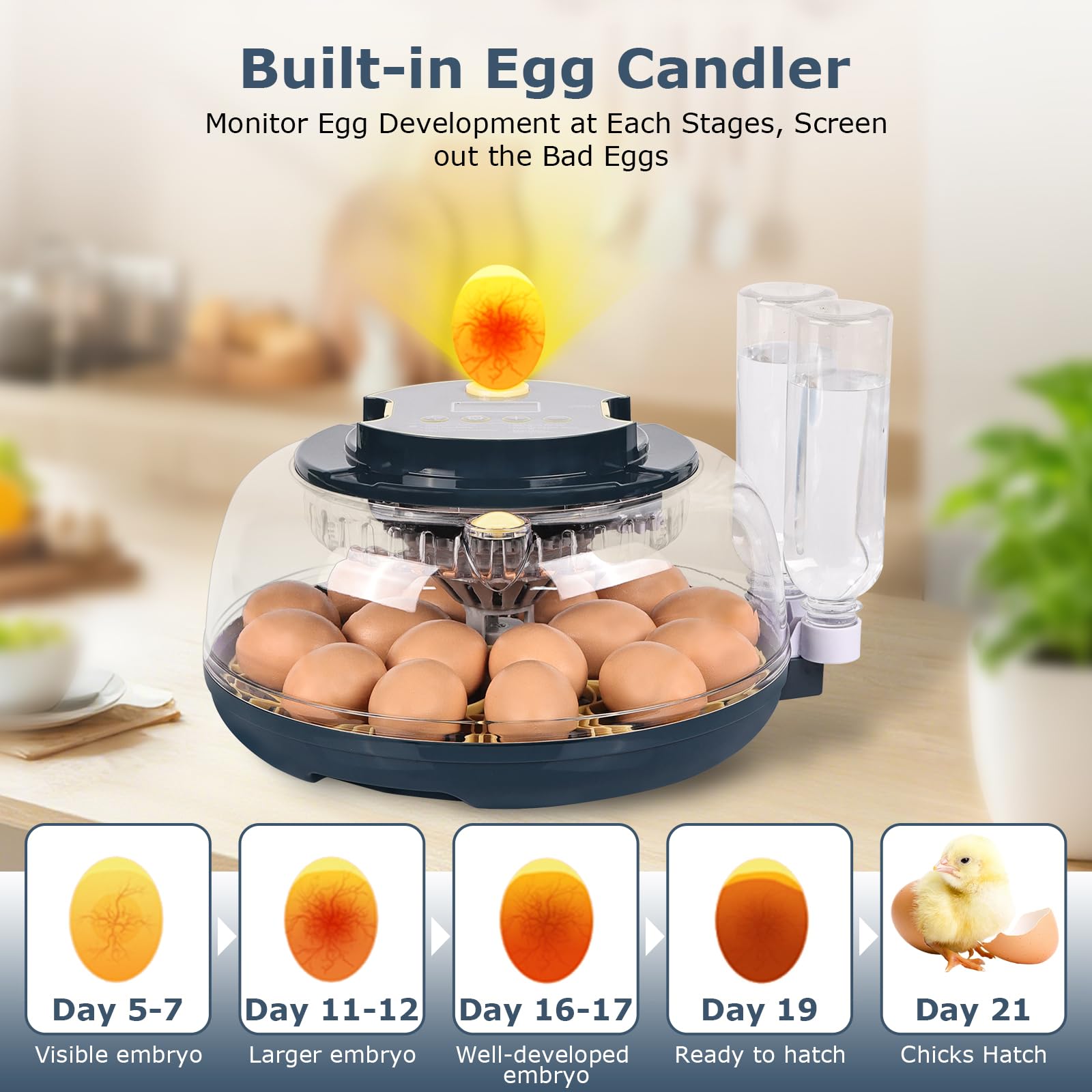 innhom egg candler in action for easy embryo inspection benefit