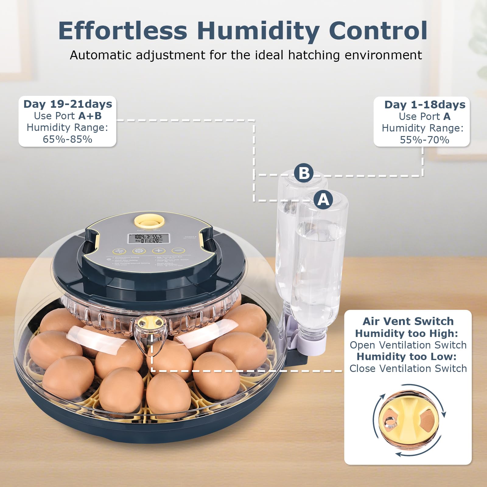 innhom egg tray with mixed eggs demonstrating flexible tray sizing benefit
