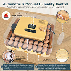 innhom removable egg tray demonstrating quick access and convenience