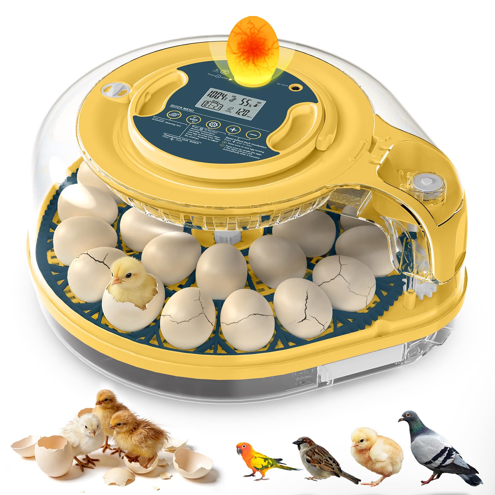 innhom front view with clear lid showing eggs for easy monitoring and protection