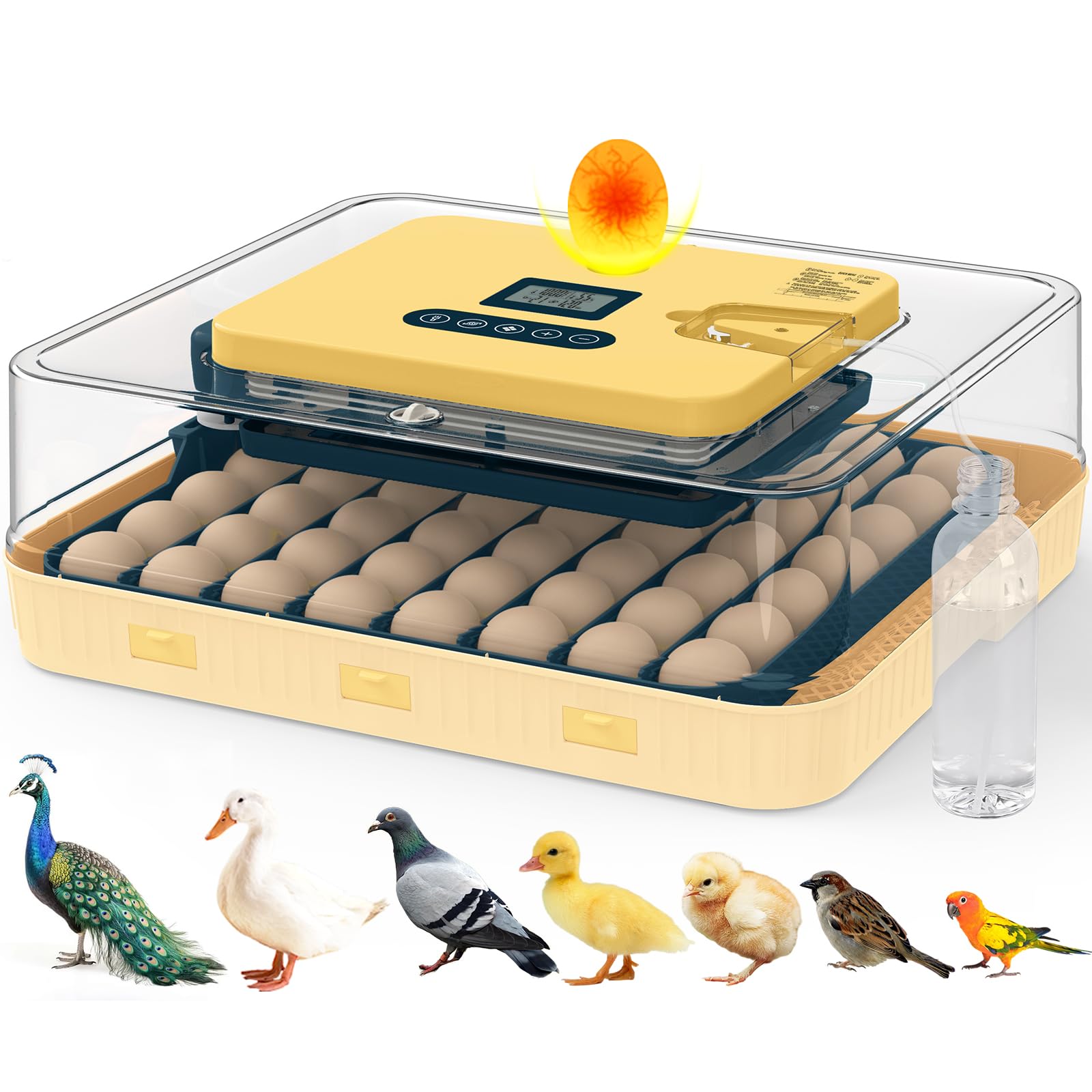 innhom front view of incubator showing capacity and compact design benefits