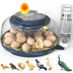innhom incubator front view showing compact design and capacity benefit