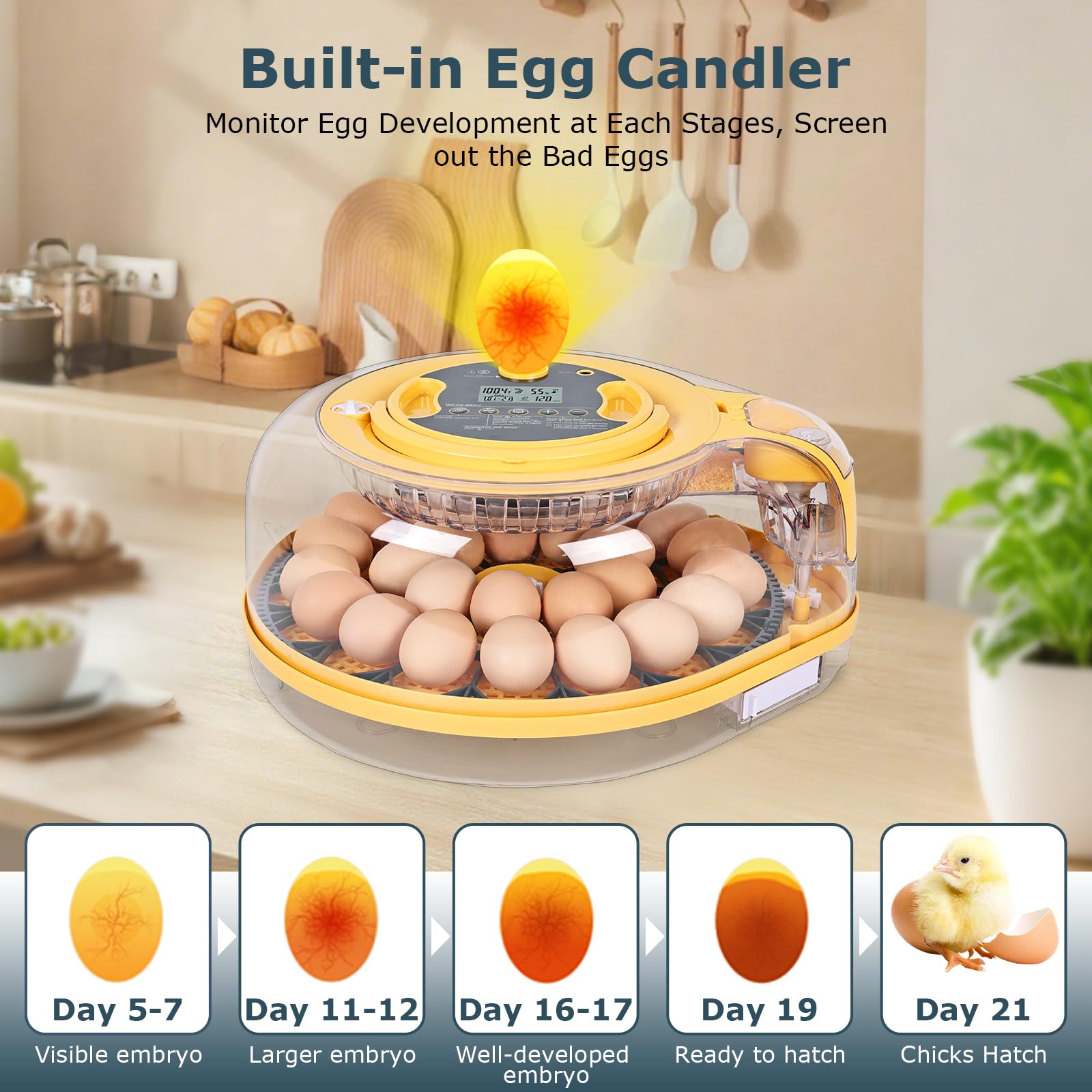 innhom one‑button egg candler lit inside to inspect embryo development without opening