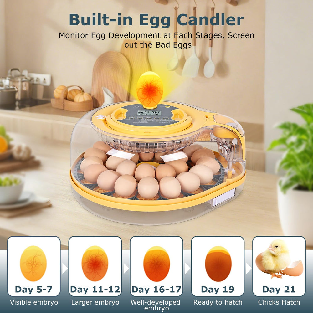 innhom one‑button egg candler lit inside to inspect embryo development without opening