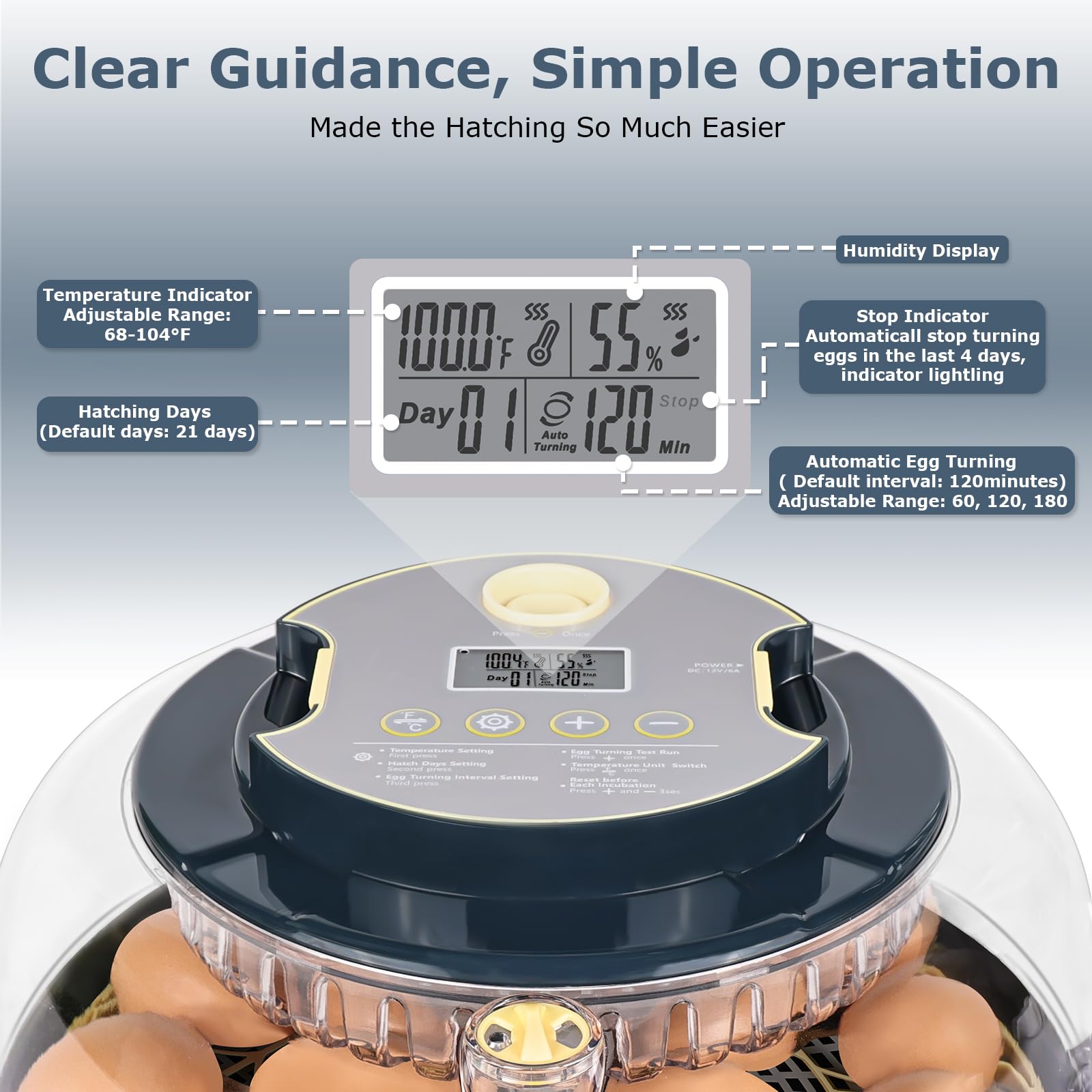 innhom incubator beside eggs for size comparison and easy placement benefit