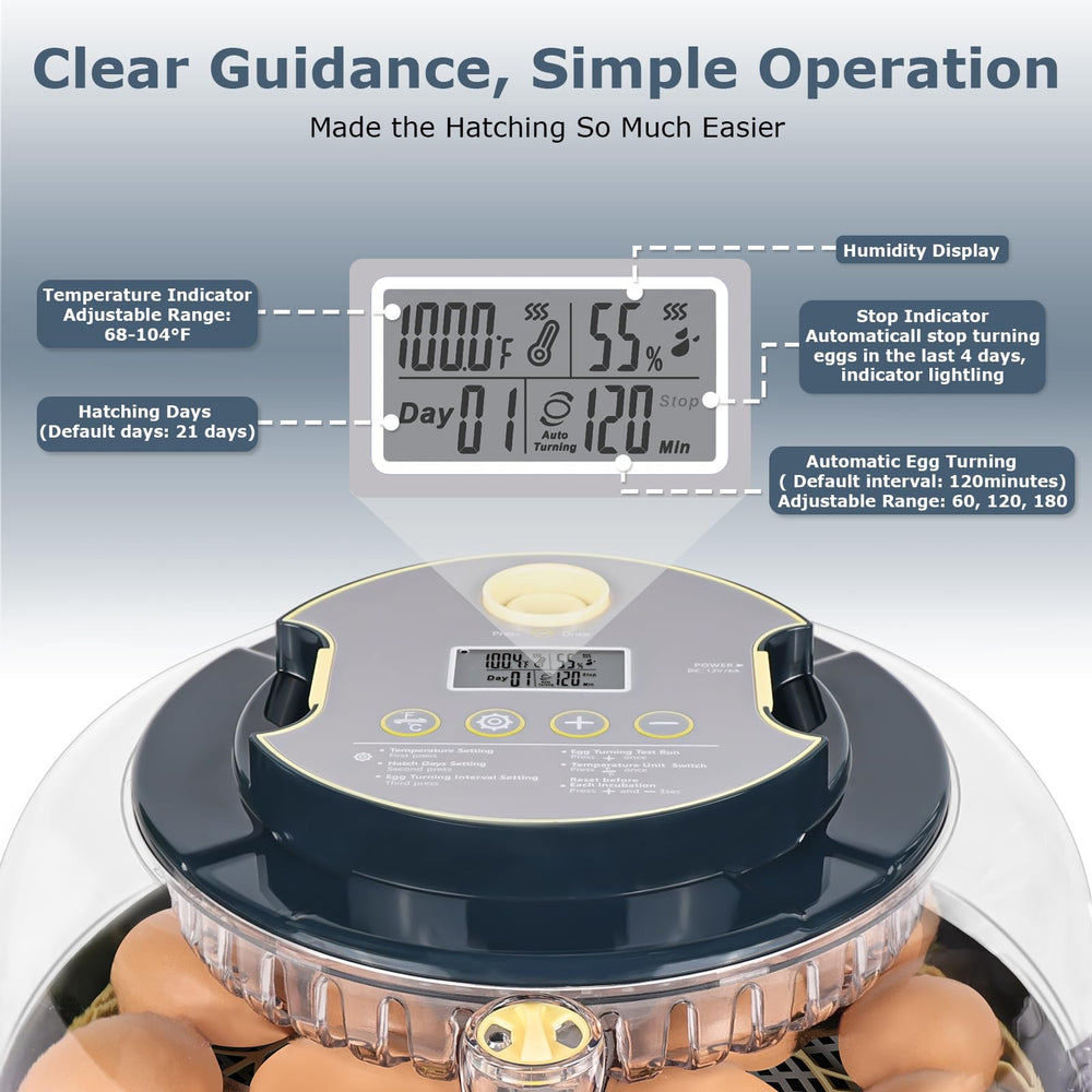 innhom incubator beside eggs for size comparison and easy placement benefit