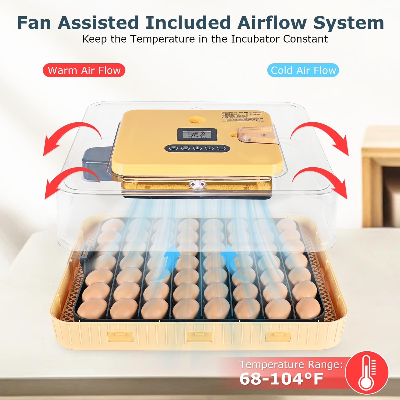 innhom transparent top allowing 360-degree viewing for easy monitoring