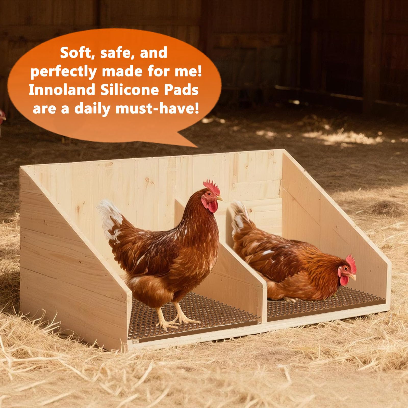 INNOLAND pad in backyard coop scene highlighting tidy nests and happier hens