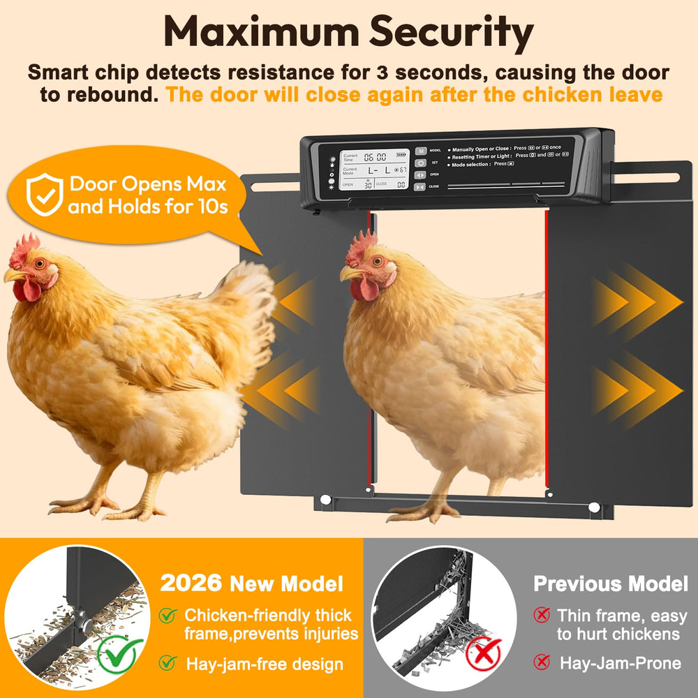 INNOLAND door open with hen passing through showing wide 11.6×8.6 inch opening benefit