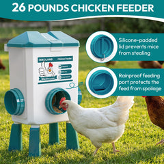INNOLAND feeder enlarged feeding ports closeup letting multiple birds eat