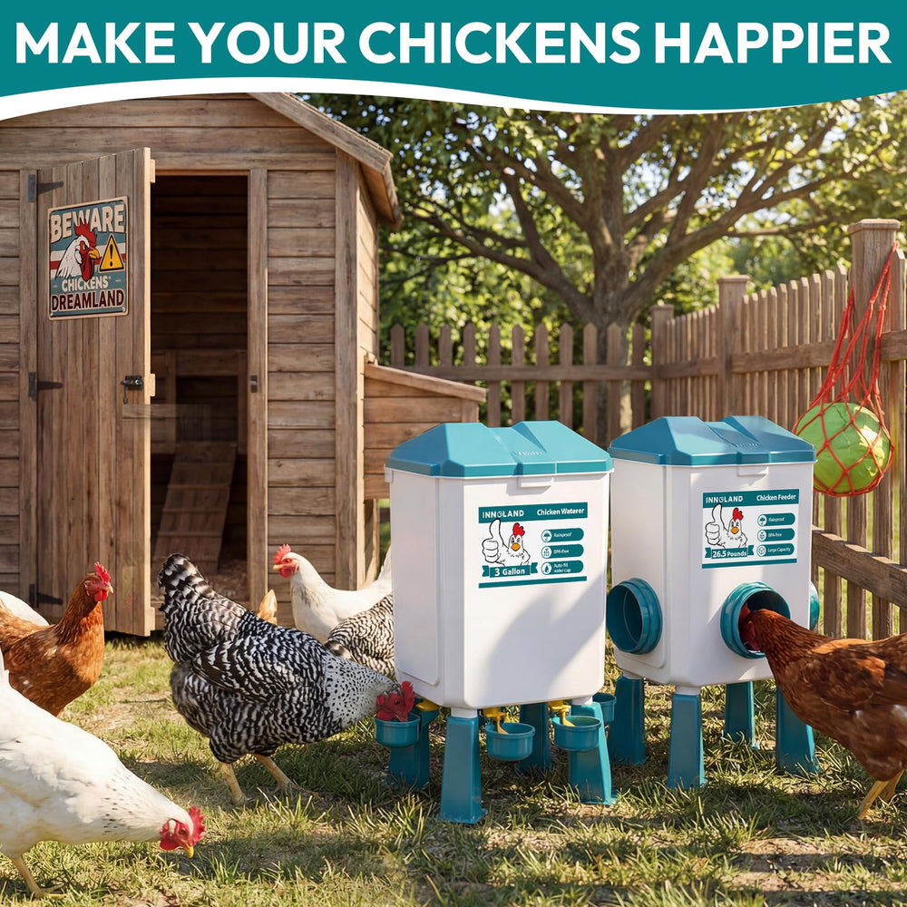 INNOLAND set in backyard flock scene improving daily feeding convenience