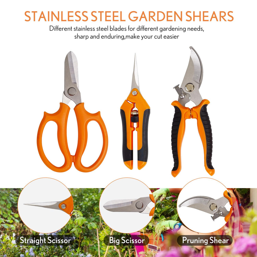 Inntop succulent tools close-up with tweezers and tiny shovel for precise planting