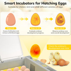 Innvello adjustable frame detail with spacing sticks to fit different egg sizes