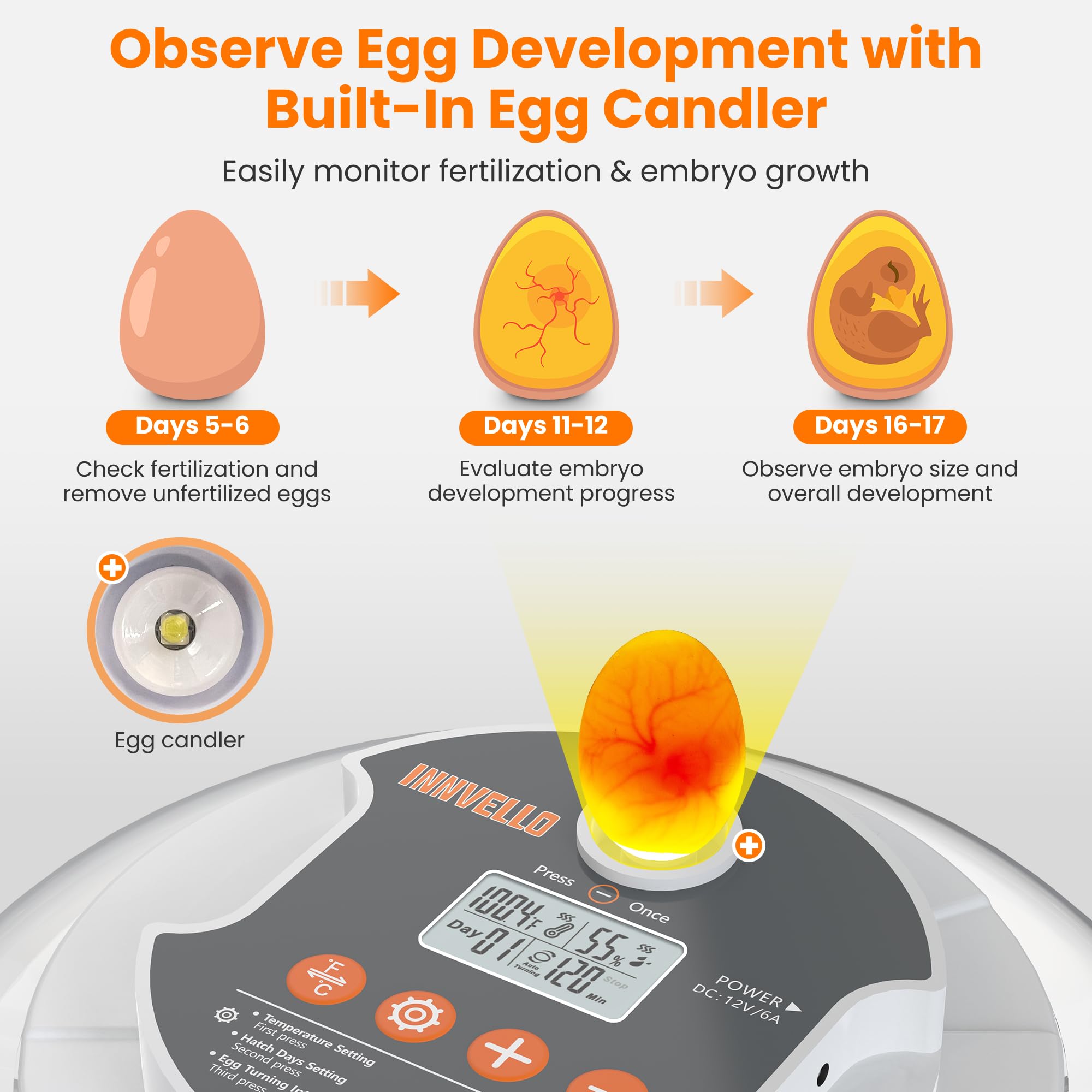 Innvello built-in egg candler illuminating shells to monitor embryo development