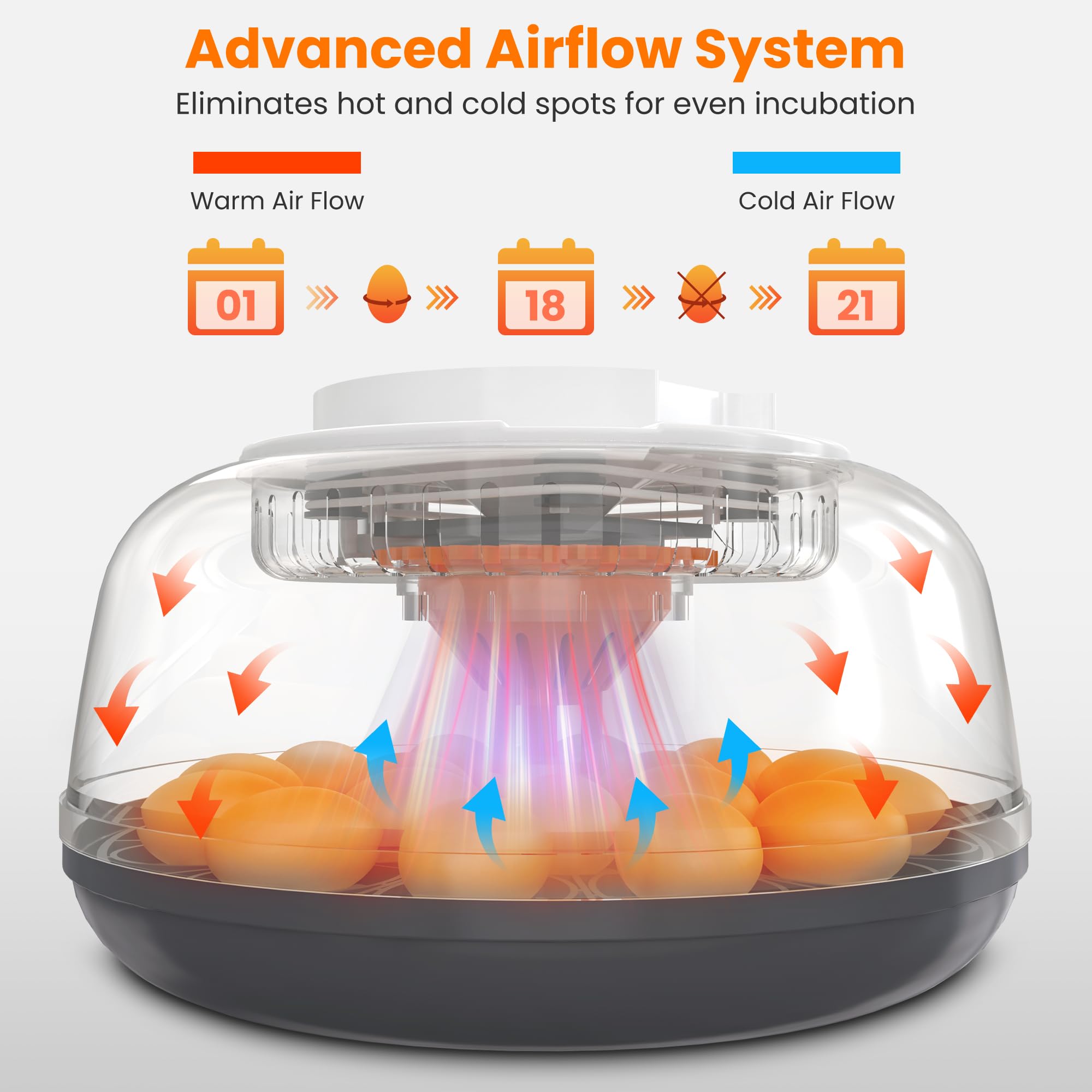 Innvello external water bottles attached for steady humidity control without opening lid
