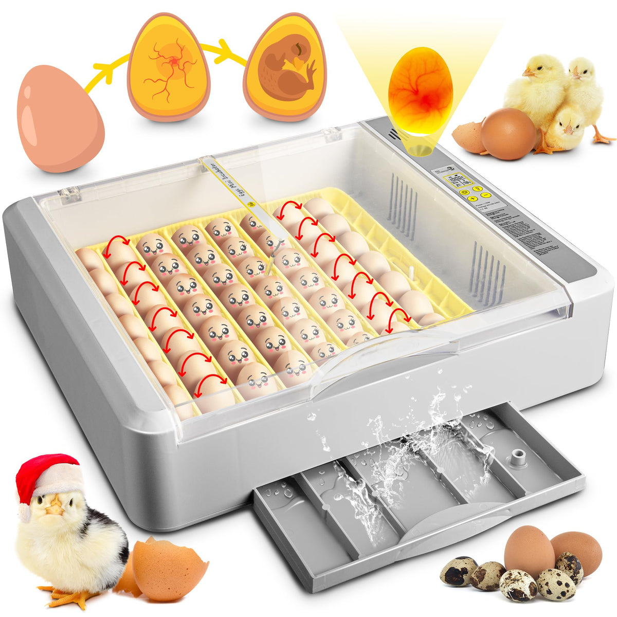 Innvello front view showing incubator holding eggs and clear lid, convenient monitoring