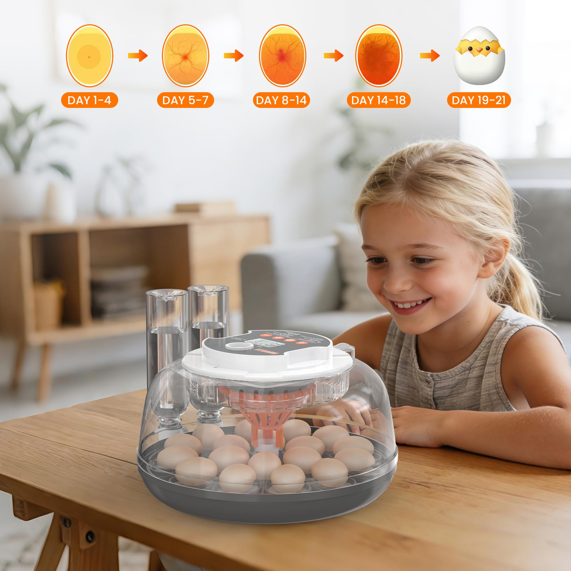 Innvello incubator next to hands for size comparison showing countertop convenience