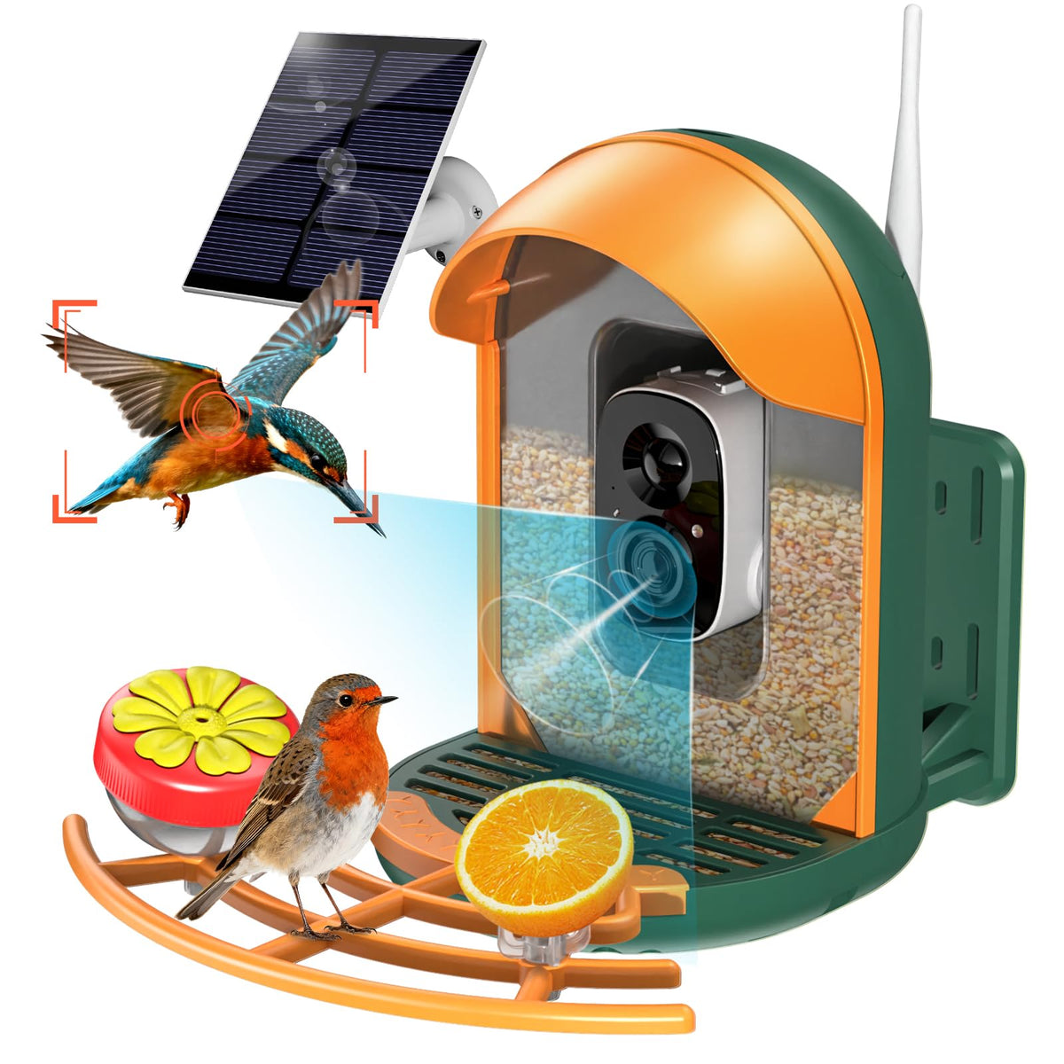InstyQ front view mounted on tree showing clear camera and quick benefits