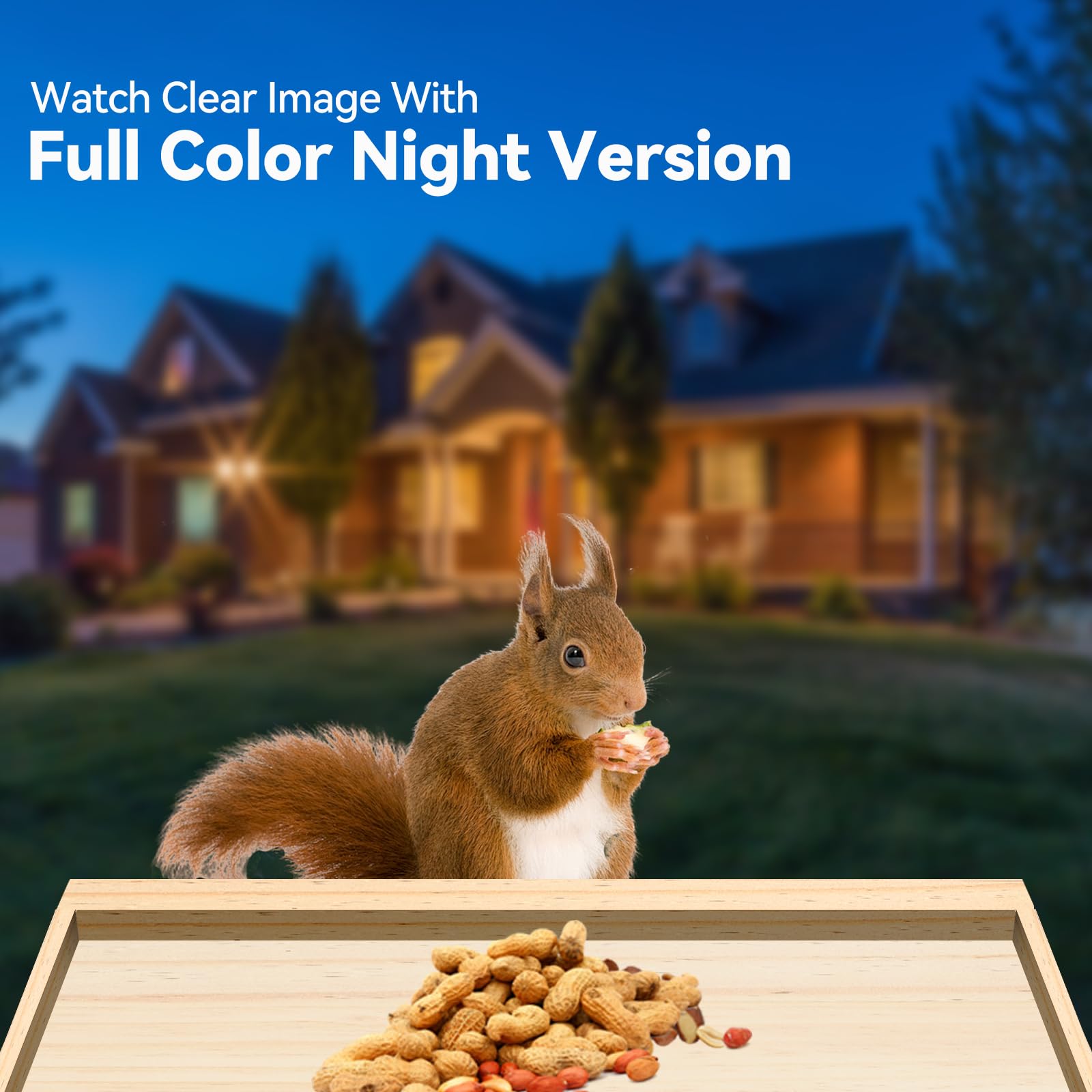 Intoo Lifes full-color night vision frame capturing nocturnal squirrel visits with vivid detail