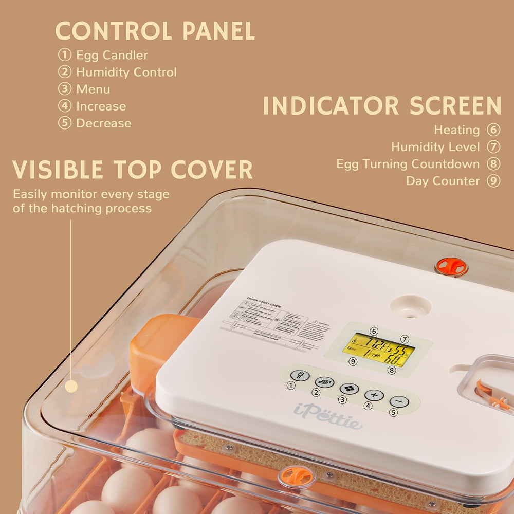 iPettie ProHatch56 closeup of LED control panel for precise temperature and humidity