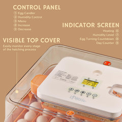 iPettie ProHatch56 closeup of LED control panel for precise temperature and humidity