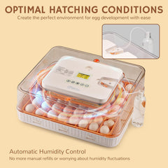 iPettie ProHatch56 egg candler in use revealing embryo development for timely checks