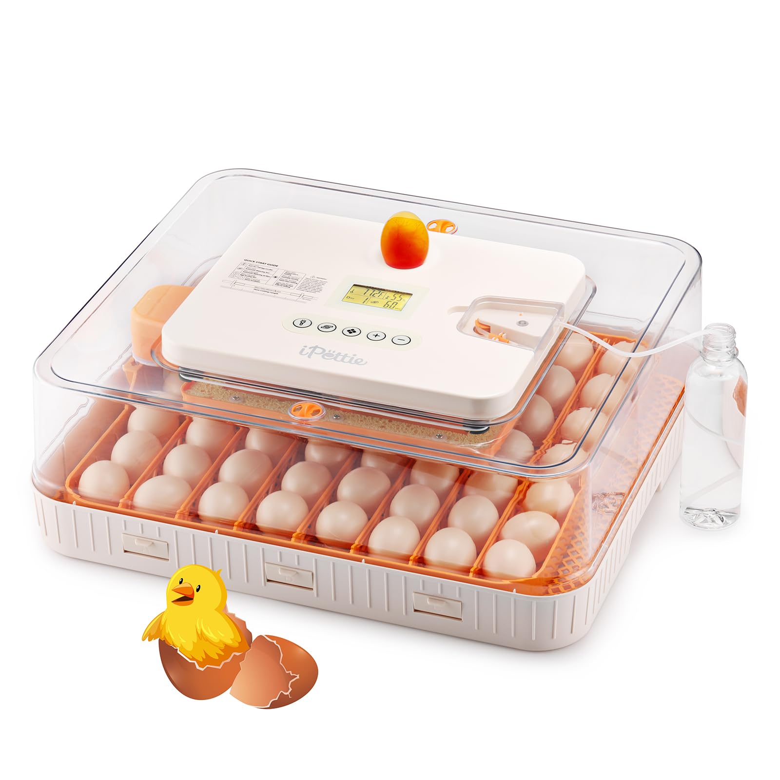 iPettie ProHatch56 front view showing tray layout and clear lid for easy monitoring
