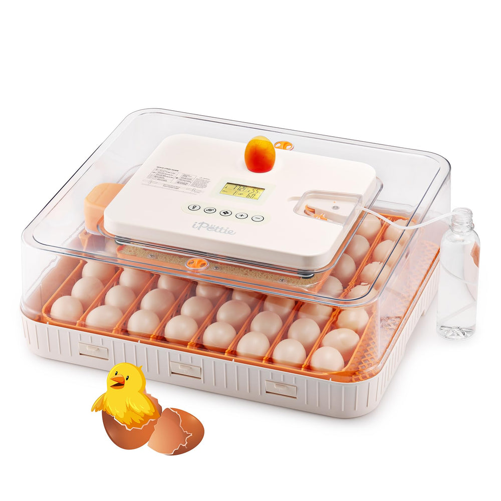 iPettie ProHatch56 front view showing tray layout and clear lid for easy monitoring