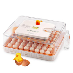 iPettie ProHatch56 front view showing tray layout and clear lid for easy monitoring