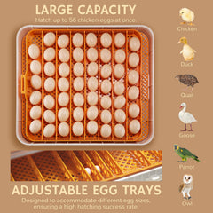 iPettie ProHatch56 open top with adjustable egg trays showing capacity and flexibility