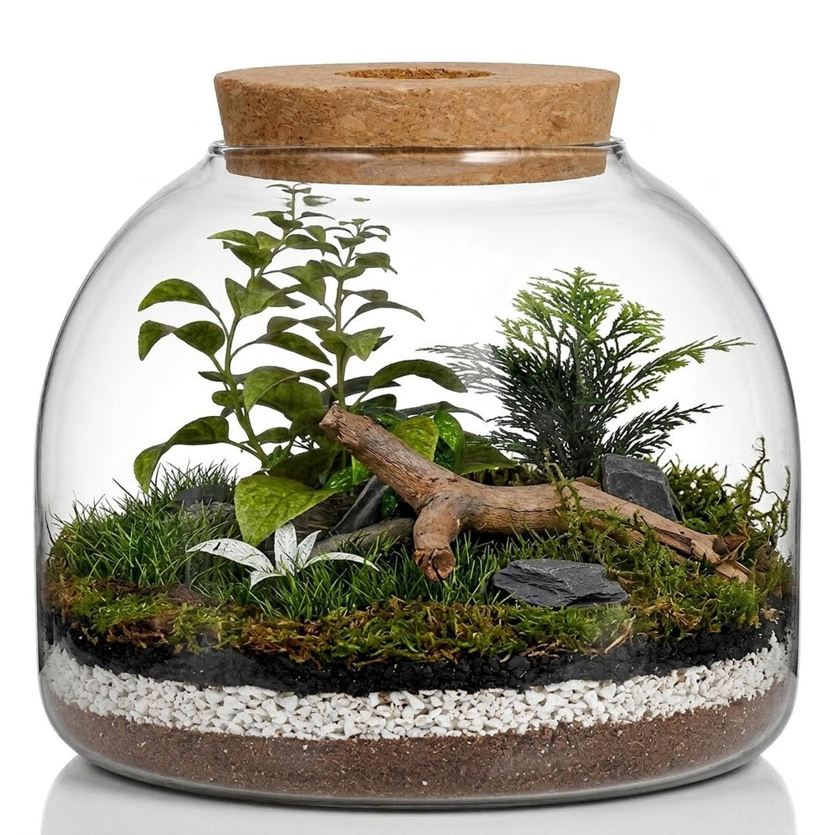 iplusmile front view of clear glass terrarium showing minimalist decor benefit