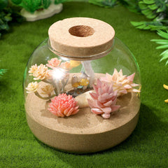 iplusmile open mouth top view highlighting easy planting and arranging benefit