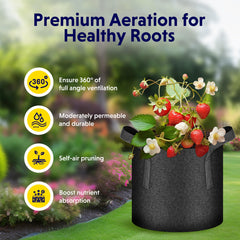 iPower grow bag filled with soil and seedlings accelerating healthy root growth