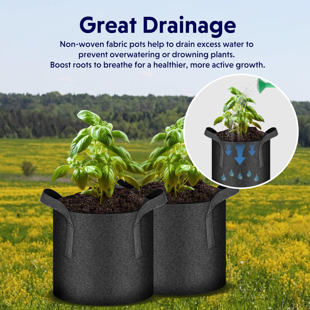 iPower flat base detail providing stability and even root-zone support