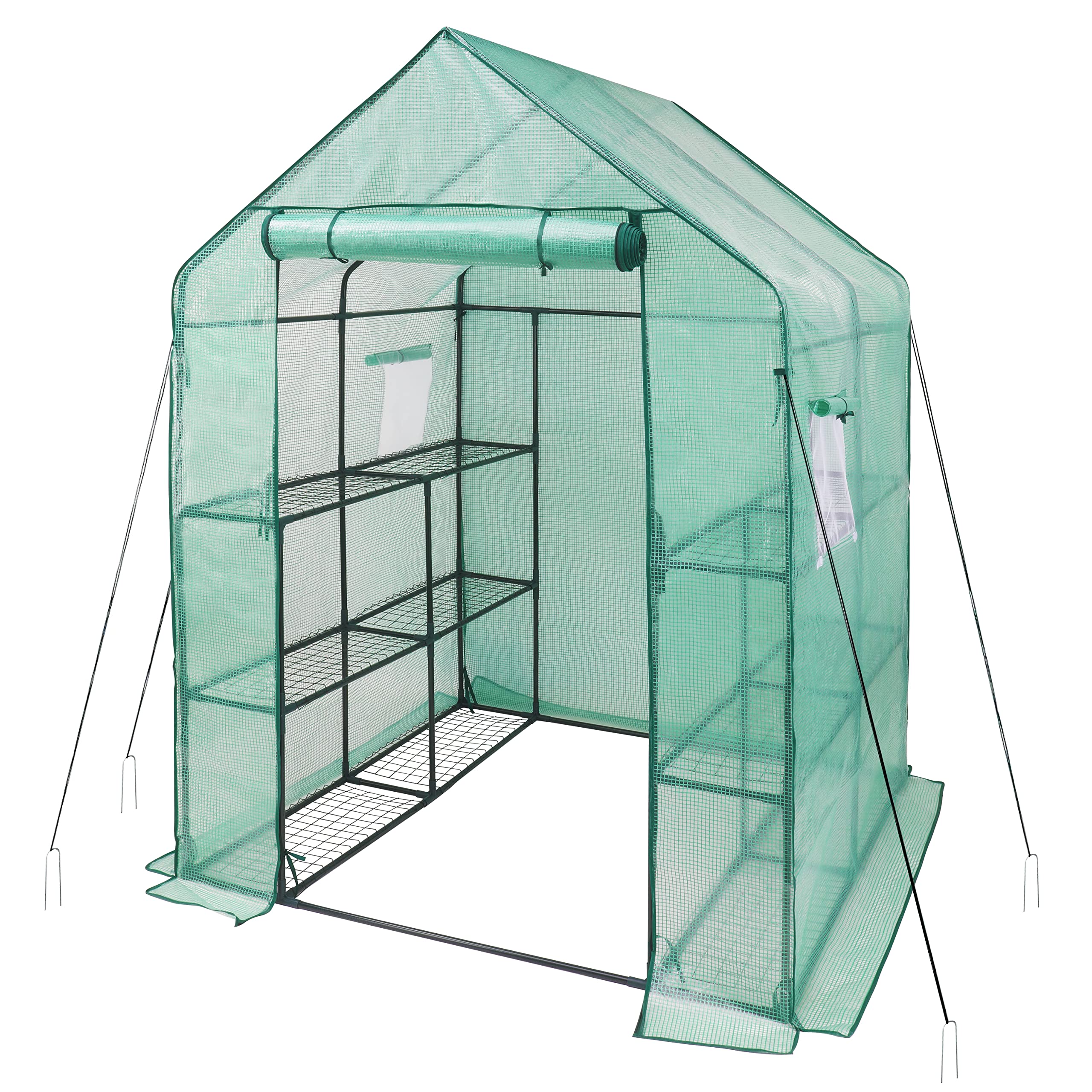 iPower front view entry showing spacious greenhouse interior and organized plants