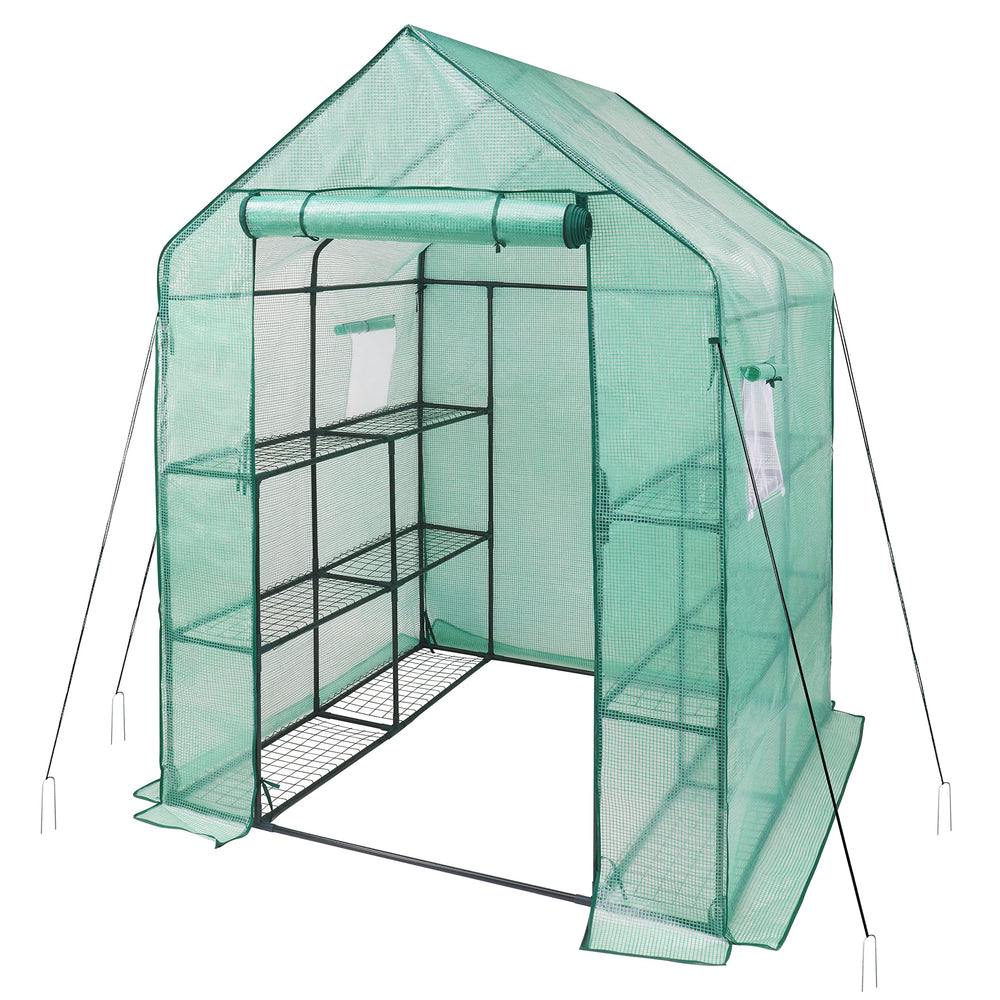 iPower front view entry showing spacious greenhouse interior and organized plants