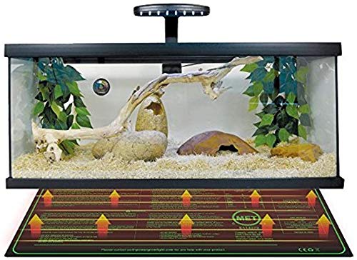 iPower lifestyle image in indoor greenhouse showing organized propagation benefit