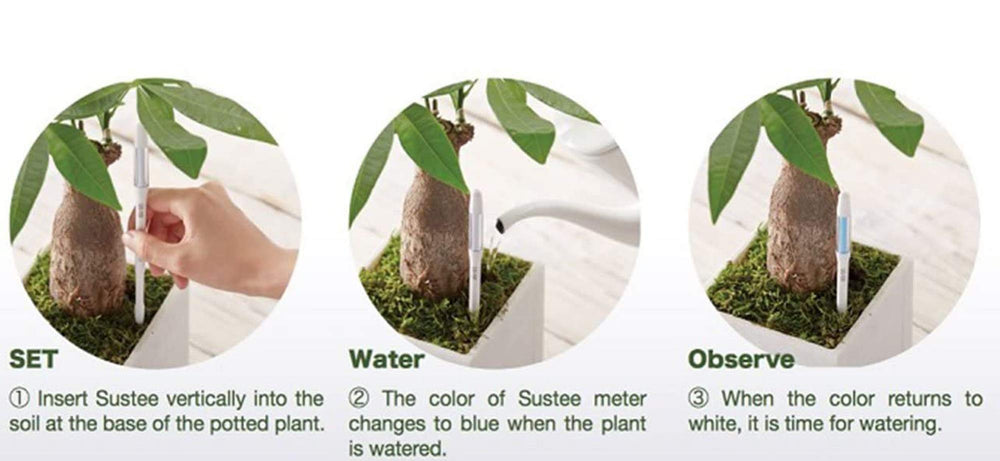IPPINKA Sustee showing blue indicator confirming adequate soil moisture after watering