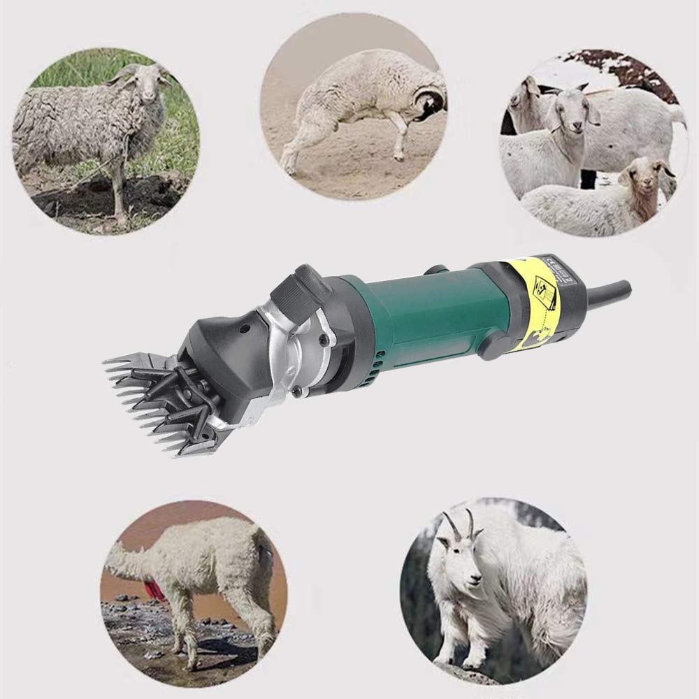 iproods shears cutting sheep fleece demonstrating fast, even trimming