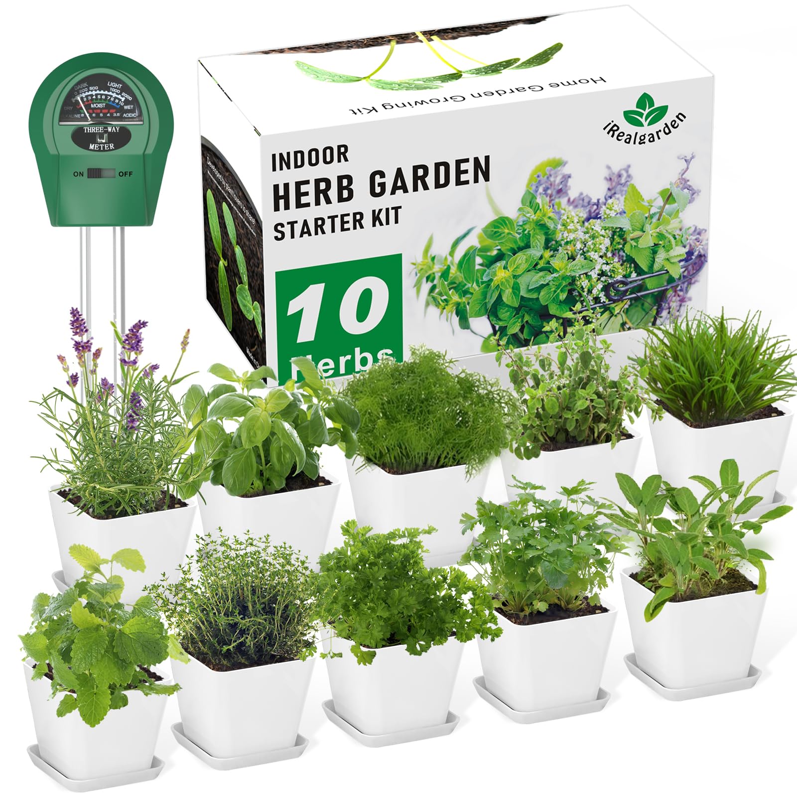 iRealgarden kit front packaging showing contents and gift box benefit