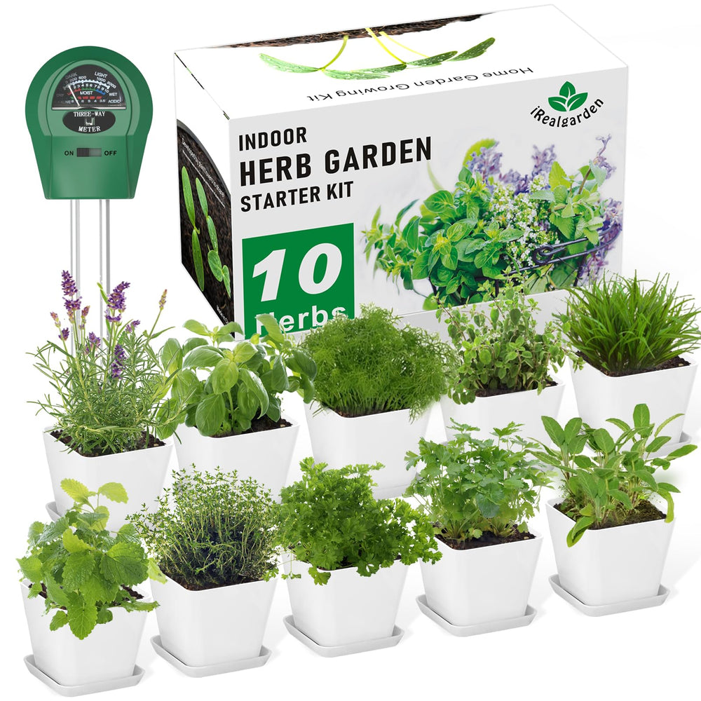 iRealgarden kit front packaging showing contents and gift box benefit