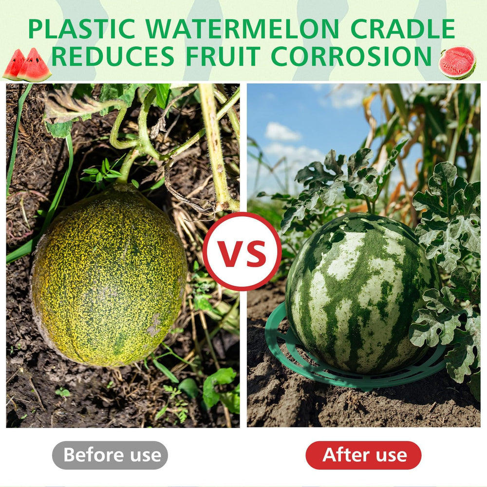 Irenare cradle beside a hand and melon showing size and weight support benefit