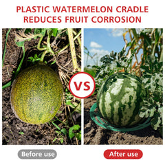Irenare cradle supporting a watermelon off soil showing rot prevention benefit