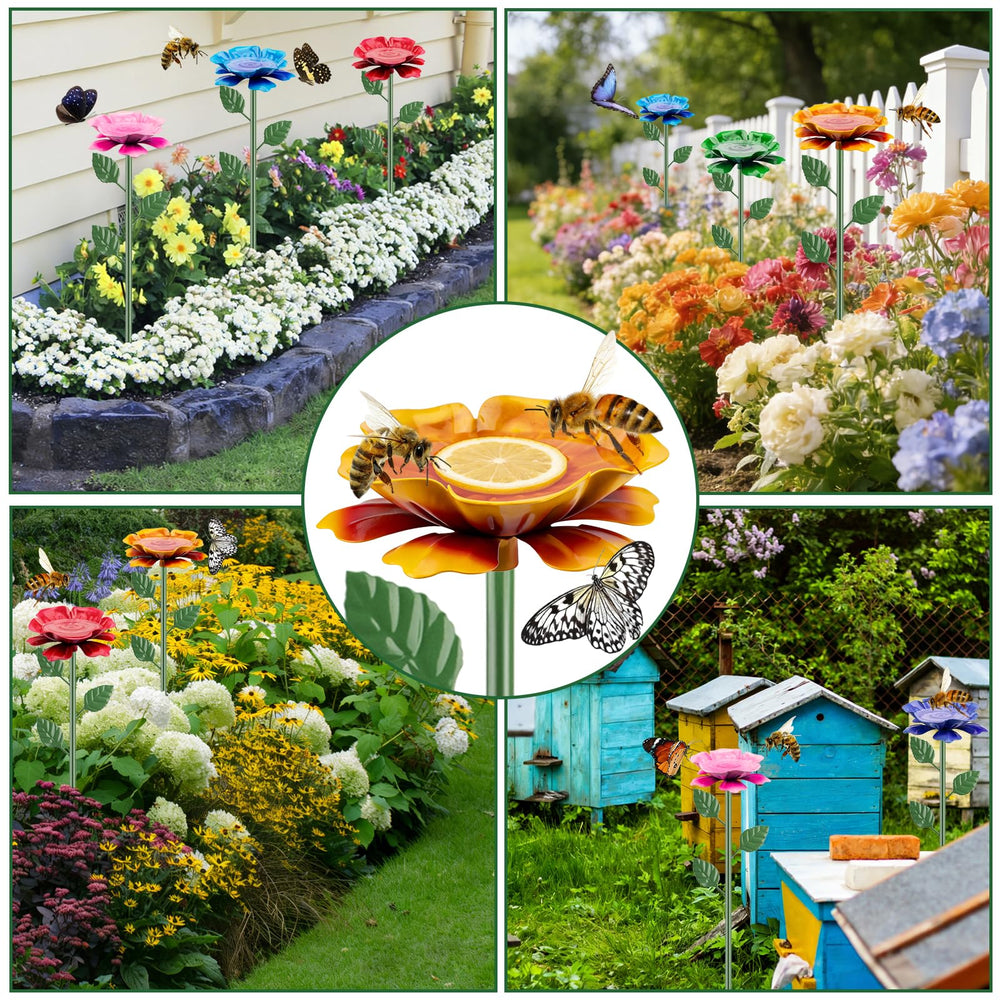 IRmm cluster along garden path showcasing decorative appeal and pollinator support