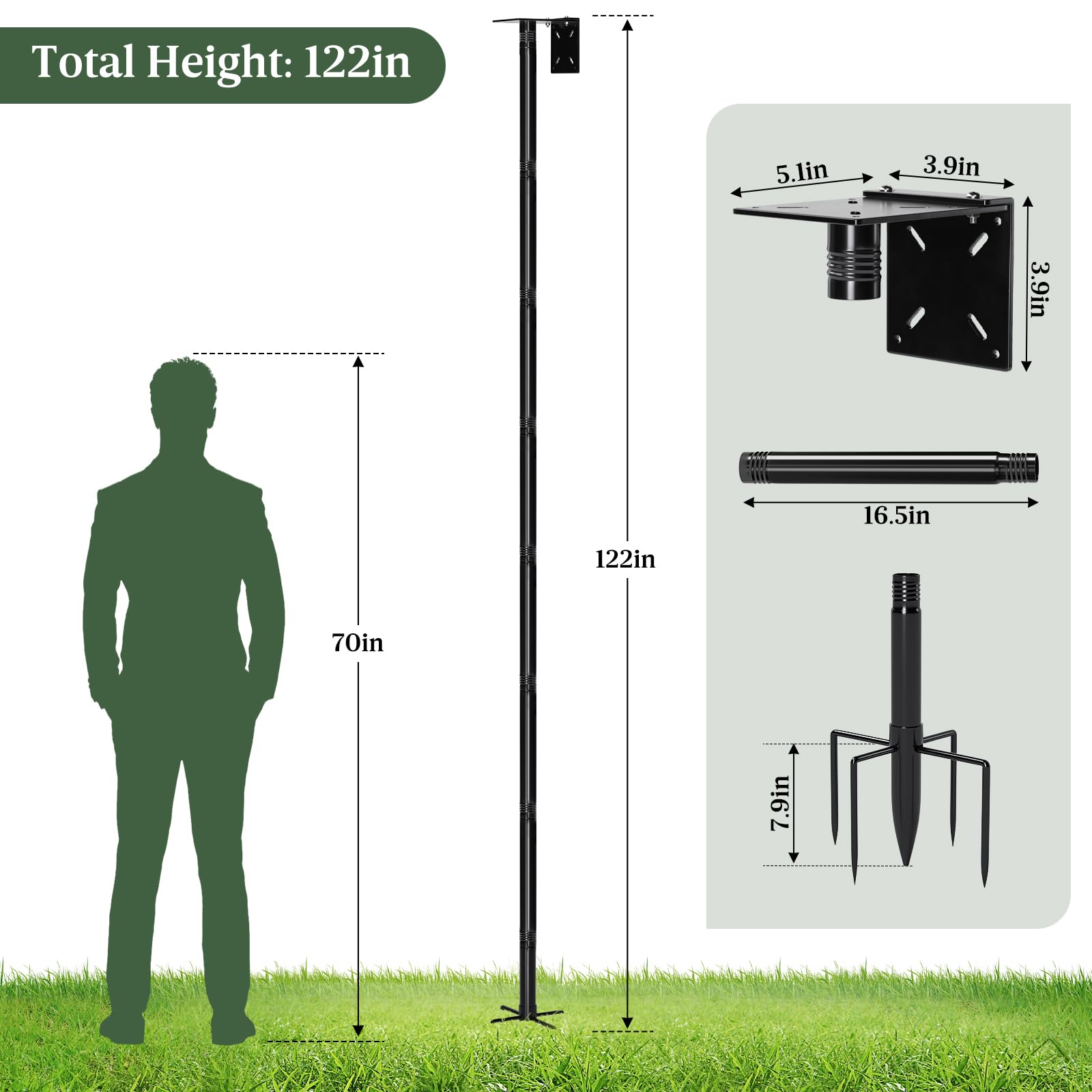 ISENLAND birdhouse mounted on pole in garden attracting attention