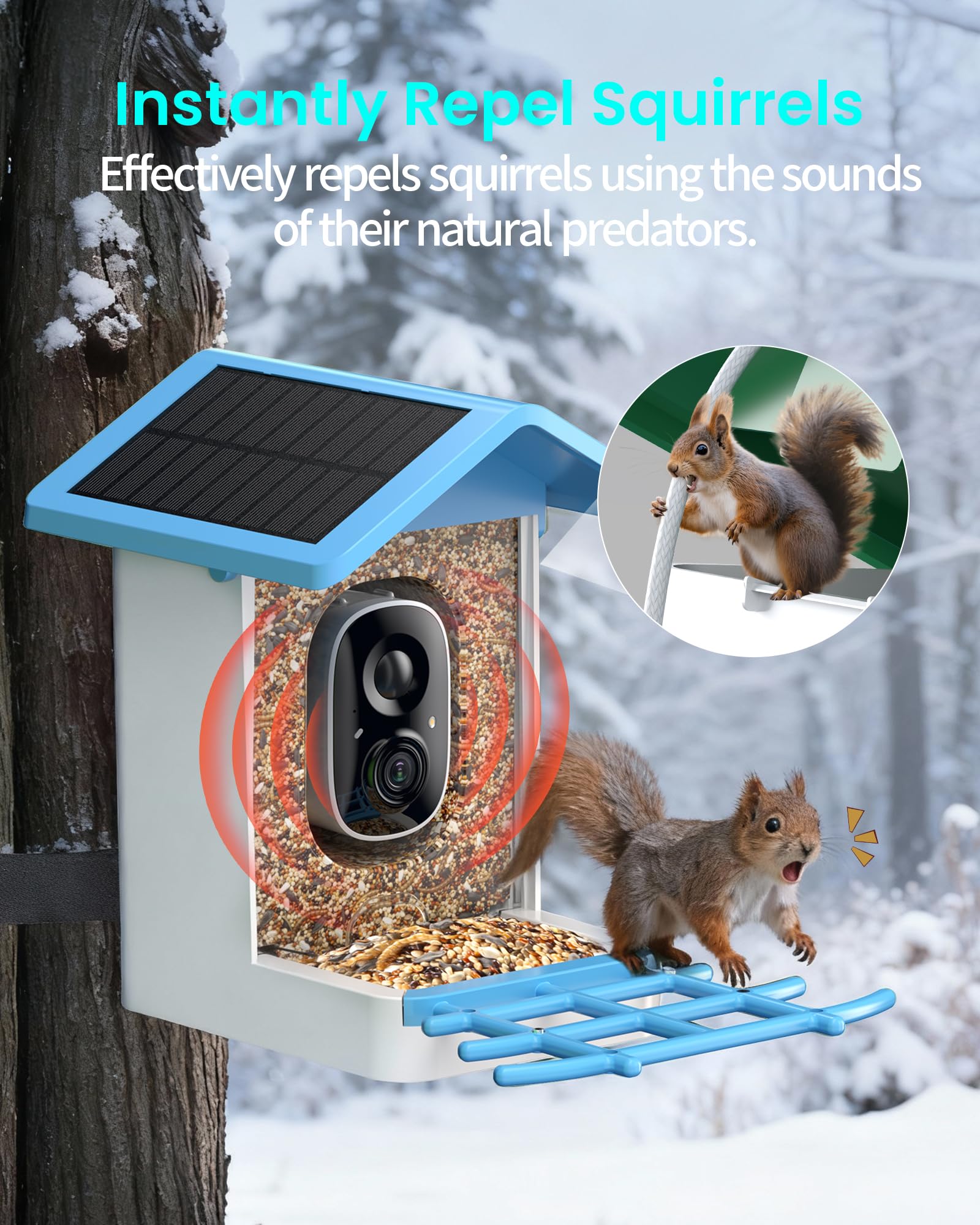 isYoung app screen showing AI bird ID, instant species recognition benefit