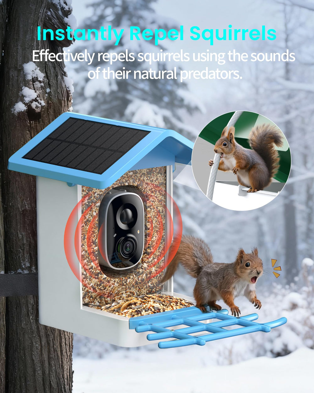 isYoung app screen showing AI bird ID, instant species recognition benefit