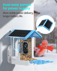 isYoung infrared night view of visiting bird, stealth monitoring benefit