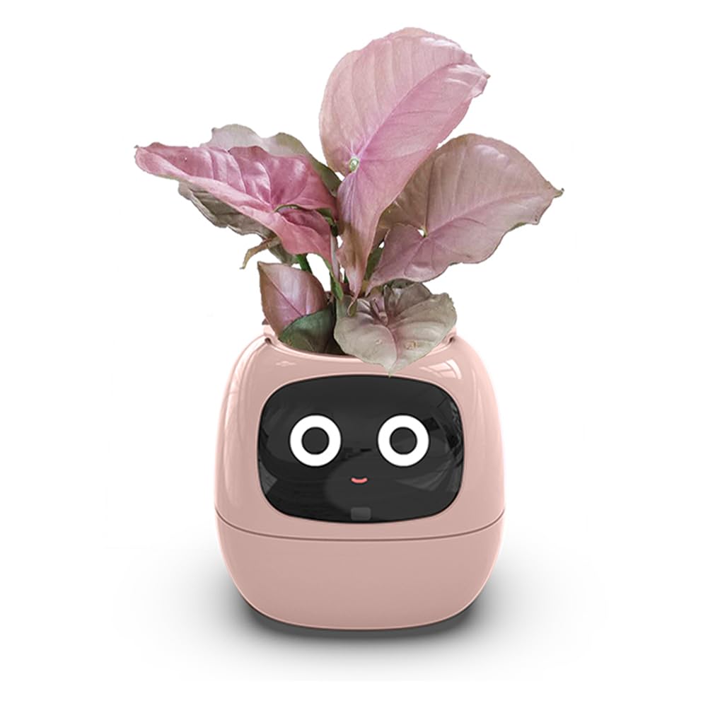 Itigoitie front view in pink showing stylish planter and display benefits