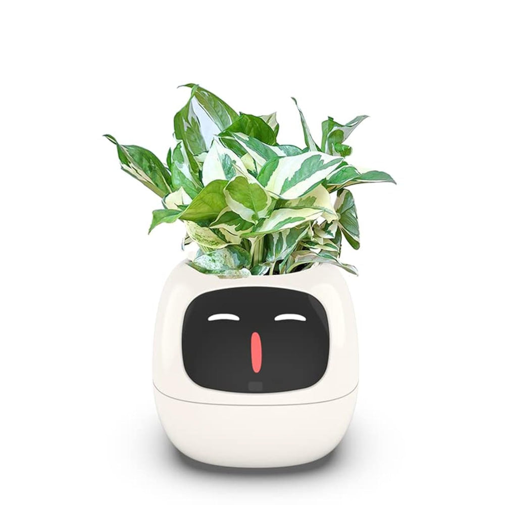 Itigoitie front view showcasing clean white smart flowerpot and plant benefit convenience